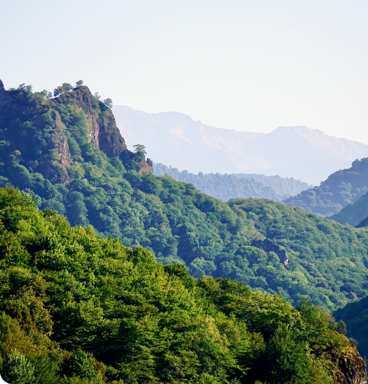 Pemandangan gunung hijau