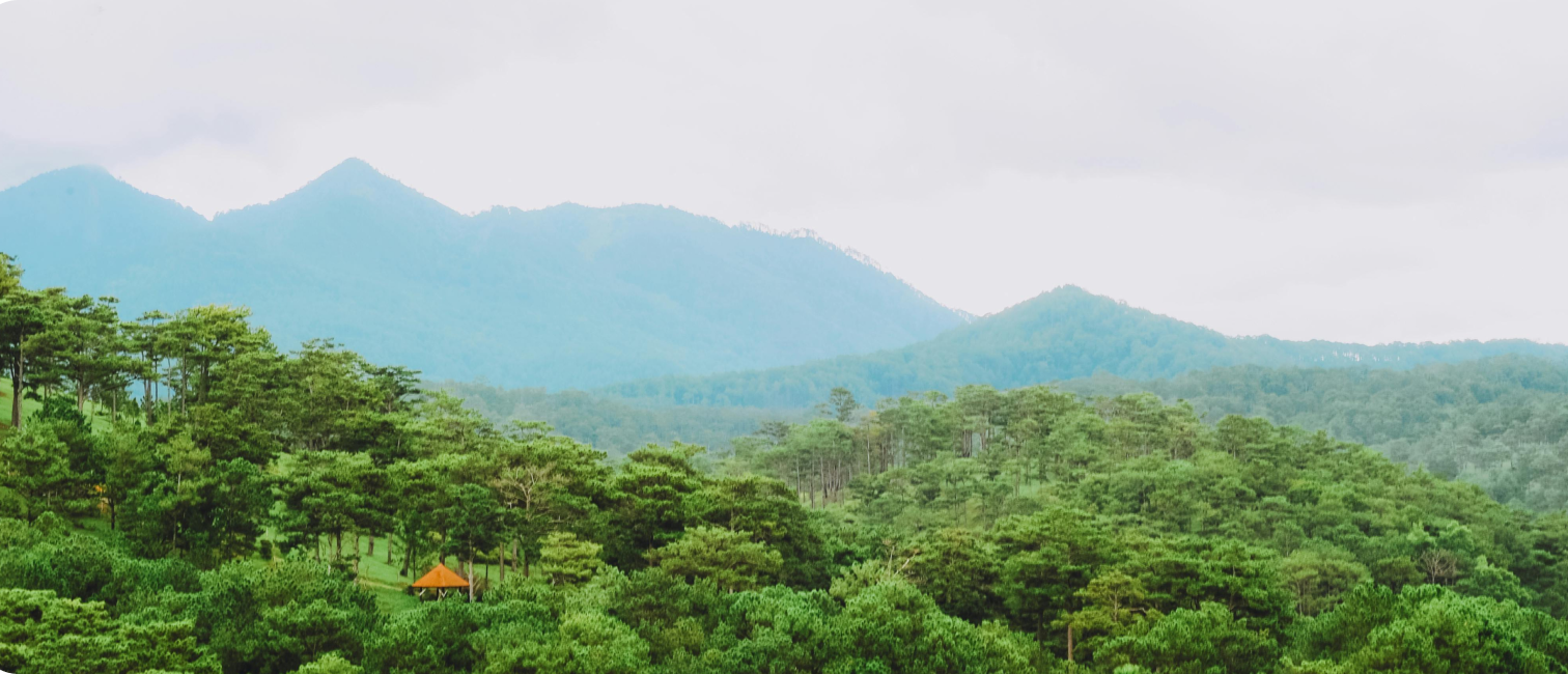Pemandangan pegunungan hijau berkabut